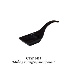 CTSP6415 Thìa Vuông (Đen) -  ET