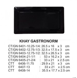 CT/GN6404-21-1/1 Khay 21 (Đen) -  ET