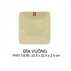 PV011-8.85 Dĩa Vuông 8.85 (Nâu Đá) -  SPW