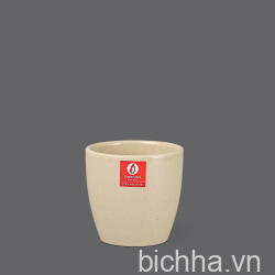 C142-3 Ly nhám bầu thấp 3 (Stone) - SPW