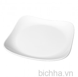 Đĩa vuông Bầu 4019 - SL