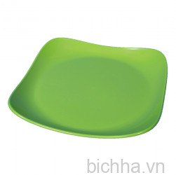Đĩa vuông Bầu 4019 - SL