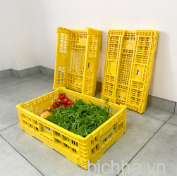 Sóng Gấp 18 - 3081 - SL