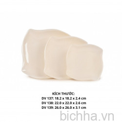 DV137 VD Dĩa DV 137  - VĐ Trắng - FTC