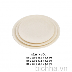 DCG07 VD Dĩa DCG 07  - VĐ Trắng - FTC