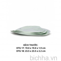 DTG18 VD Dĩa DTG 18 - VĐ XANH - FTC