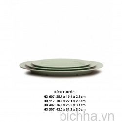 HX607 VD Dĩa HX 607 - VĐ  Cát Xanh  - FTC