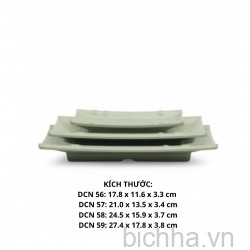 DCN57 VD Dĩa DCN 57 - VĐ  Cát Xanh  - FTC