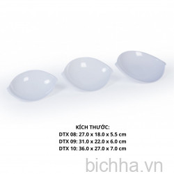 Dĩa Trái Xoài Dtx 10 - Dtx10 -FTC
