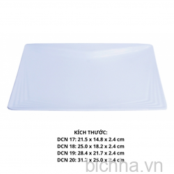 Dĩa Chữ Nhựt Dcn 20 - Dcn20 -FTC