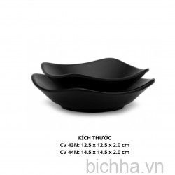 Chén Vuông Cv 43 - Cv43 - Nhám Đen - FTC