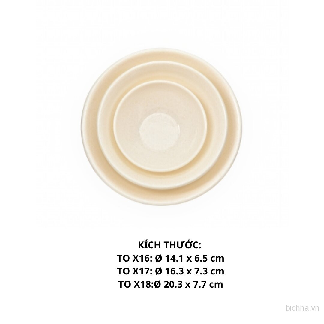 TX16 VD Tô TO X16  - VĐ Trắng - FTC