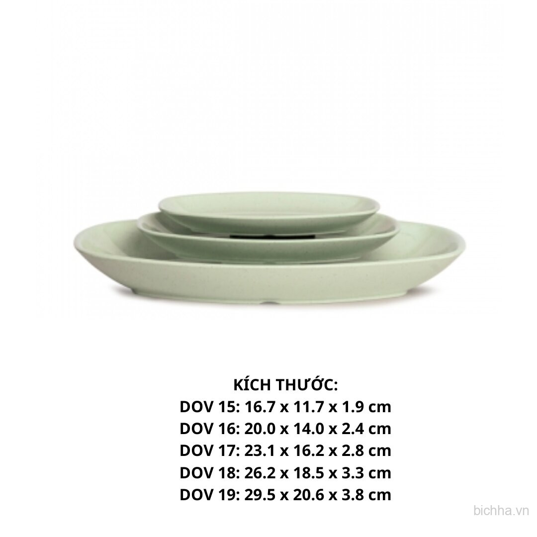 DOV16 VD Dĩa DOV 16 - VĐ  Cát Xanh  - FTC