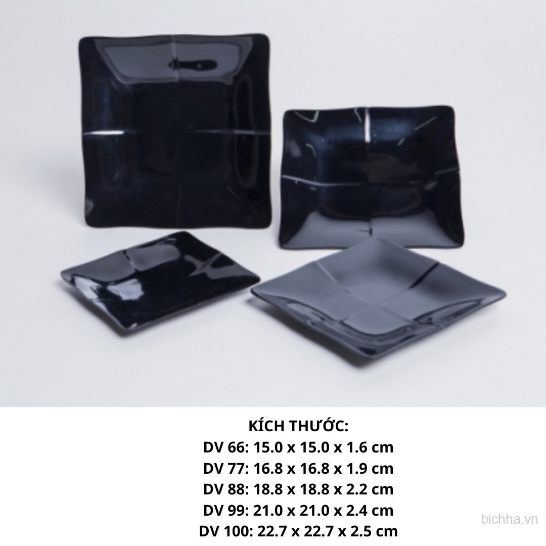 Dĩa Vuông Dv 100 - Dv100 - Màu Đen - FTC