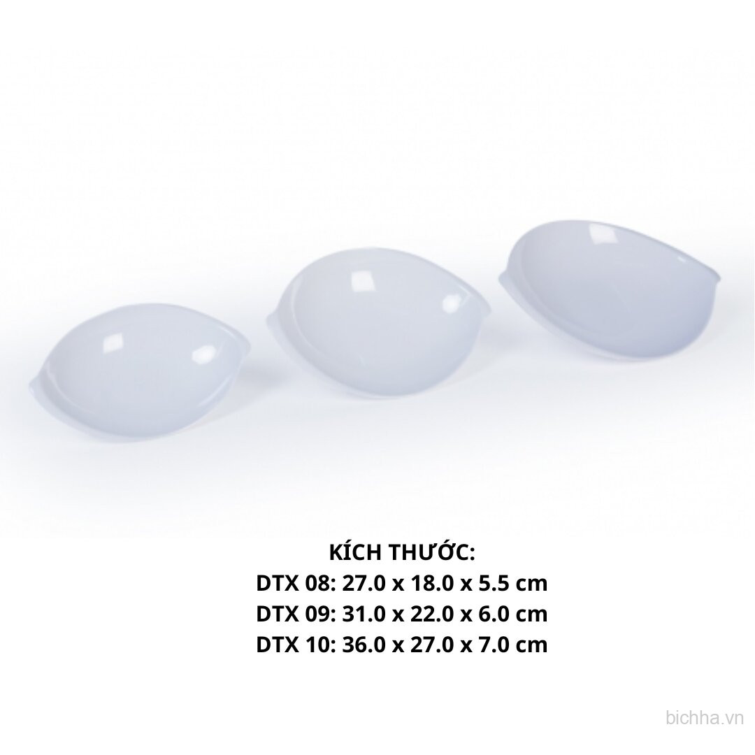 Dĩa Trái Xoài Dtx 10 - Dtx10 -FTC