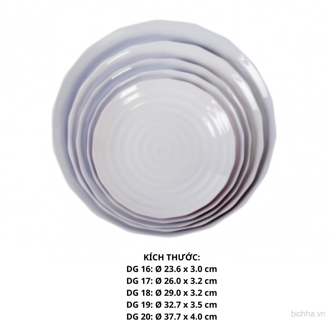Dĩa Dg 20 - Dg20 -FTC