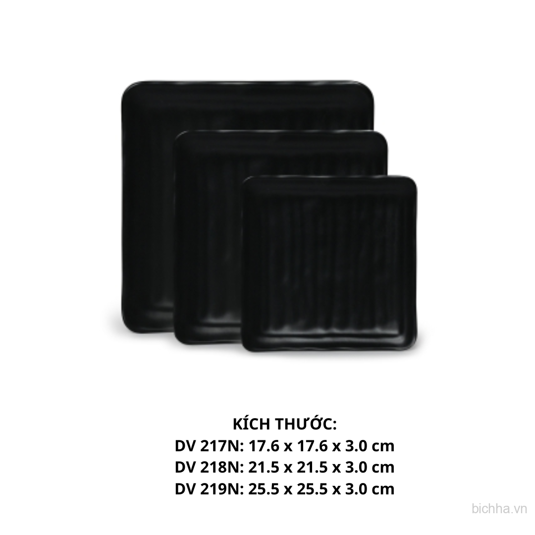 Dĩa  Dv 219 - DV219 - Nhám Đen - FTC