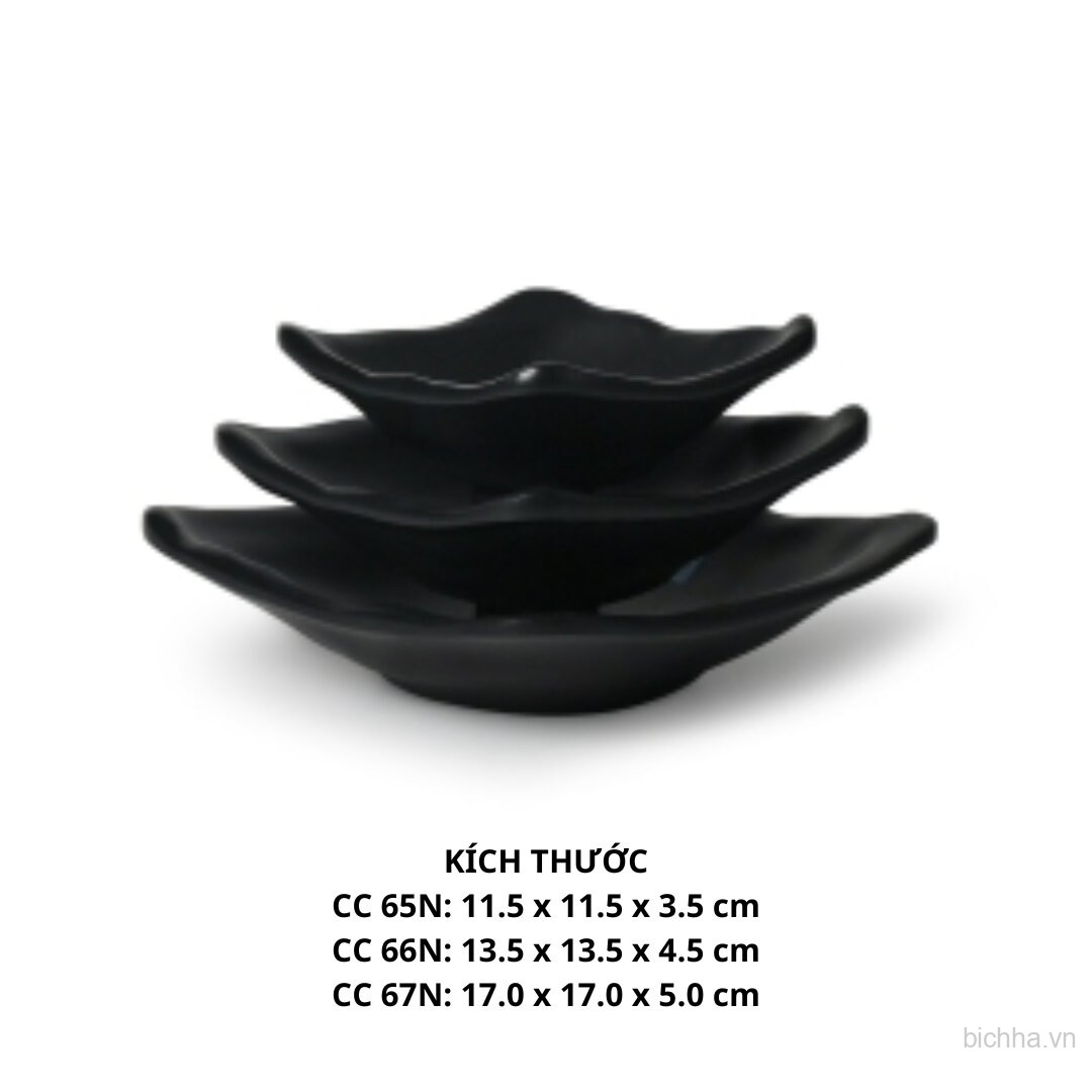 Chén Chấm 67 - CC67 - Nhám Đen - FTC